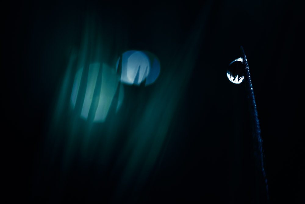 Platz 2 Robert Seitz